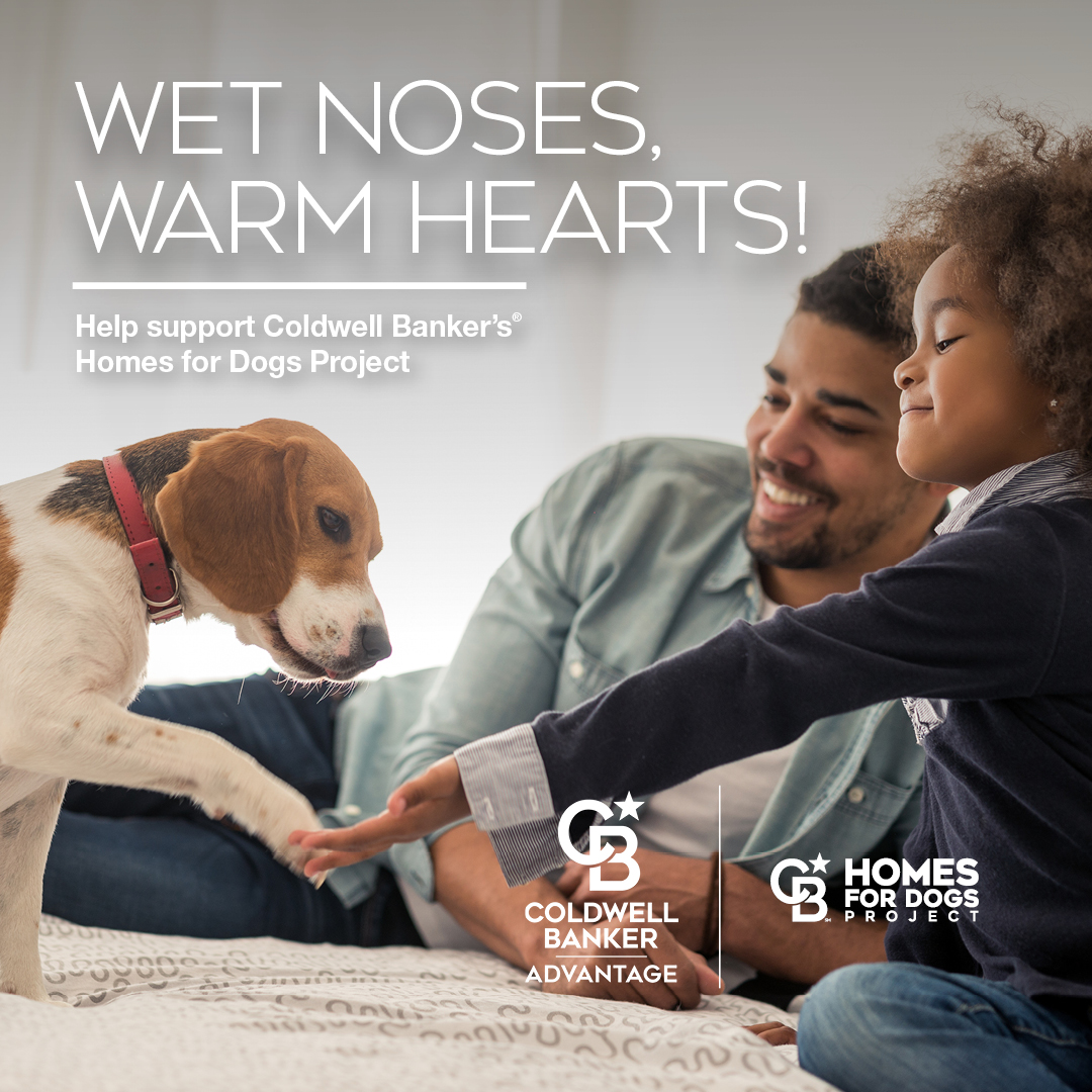 homes for dogs